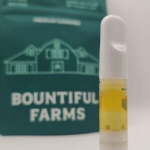 Bountiful Farms Orange Soda