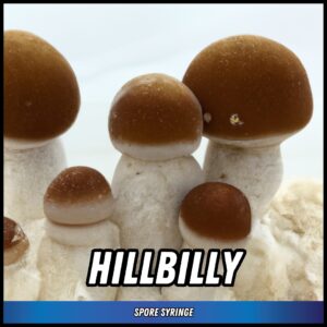 Hillbilly Spore Syringe
