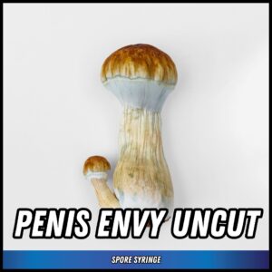 Penis Envy Uncut Spore Syringe