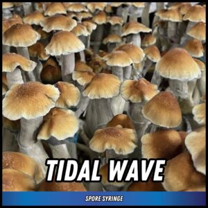 Tidal Wave Spore Syringe