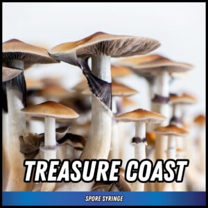 Treasure Coast Spore Syringe
