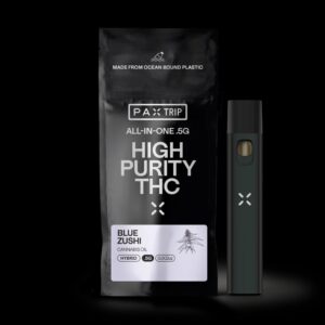 pax aio disposable